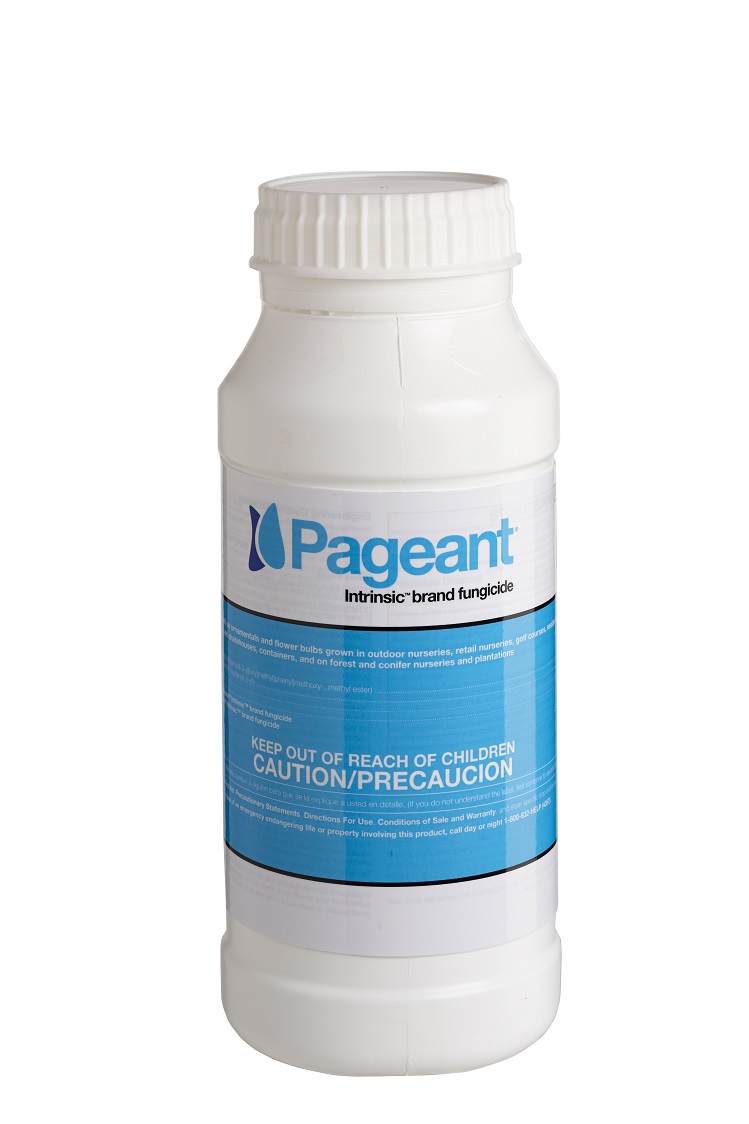 Pageant® Intrinsic® Fungicide 1 lb Bottle - Fungicides